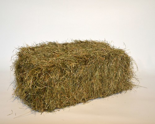Schnitt wiesenheu - 16, kg