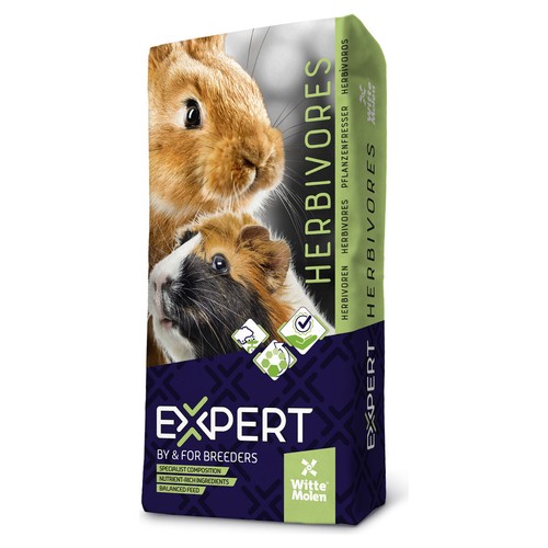 Witte molen expert kaninchen - molen,