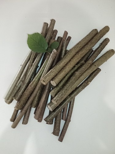 Haselnuss 1 kg - +,