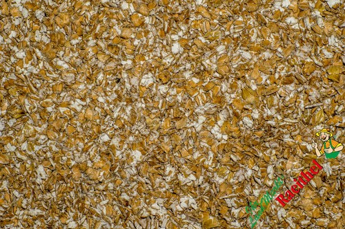 Weizen gequetscht kg - weizen,