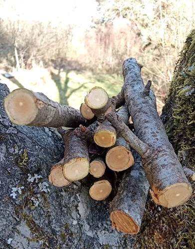 Natürlich unbehandelt kg - unbehandelt,
