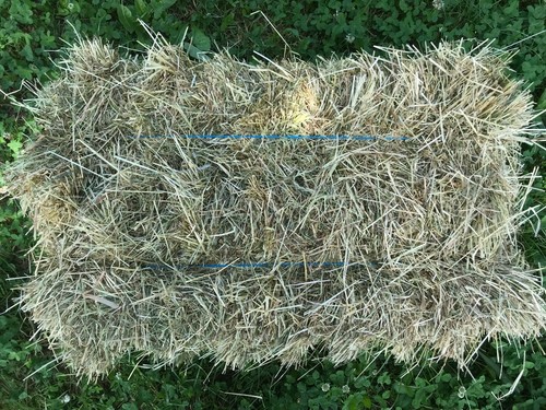 Heuballen heu 18kg 1schnitt - heuballen,