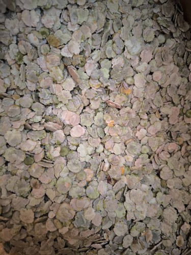 Erbsenflocken - (2,60€/kg), 10