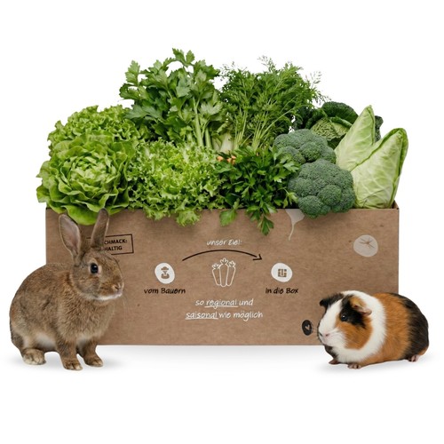 Frischfutter boxen für - frischfutter-boxen,