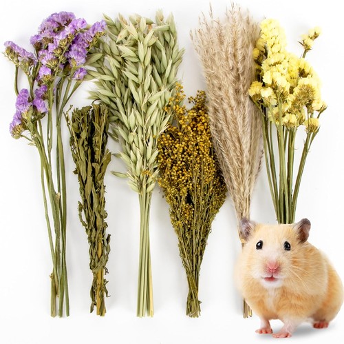 Hamster sprays 42pcs - hamster,