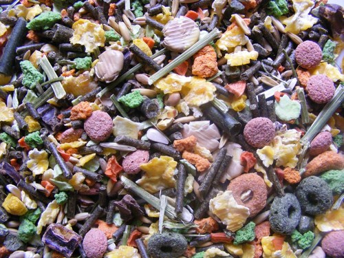 Meerschweinchenfutter dinner - meerschweinchenfutter,